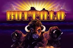 Buffalo Thumbnail