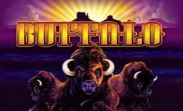 Buffalo logo